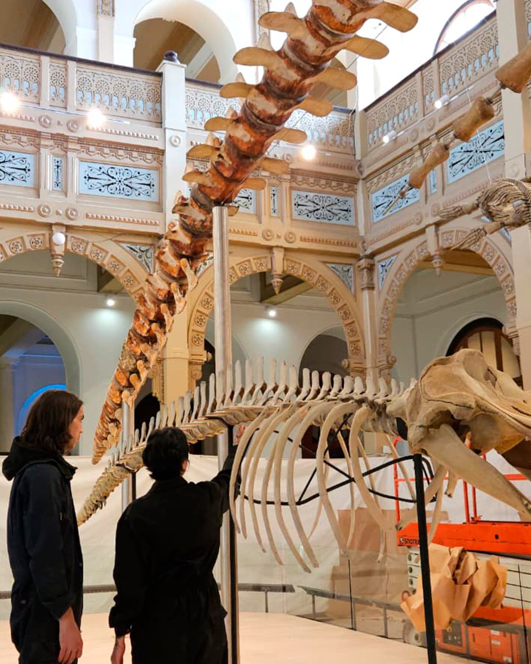 museo-historia-natural-chile-1