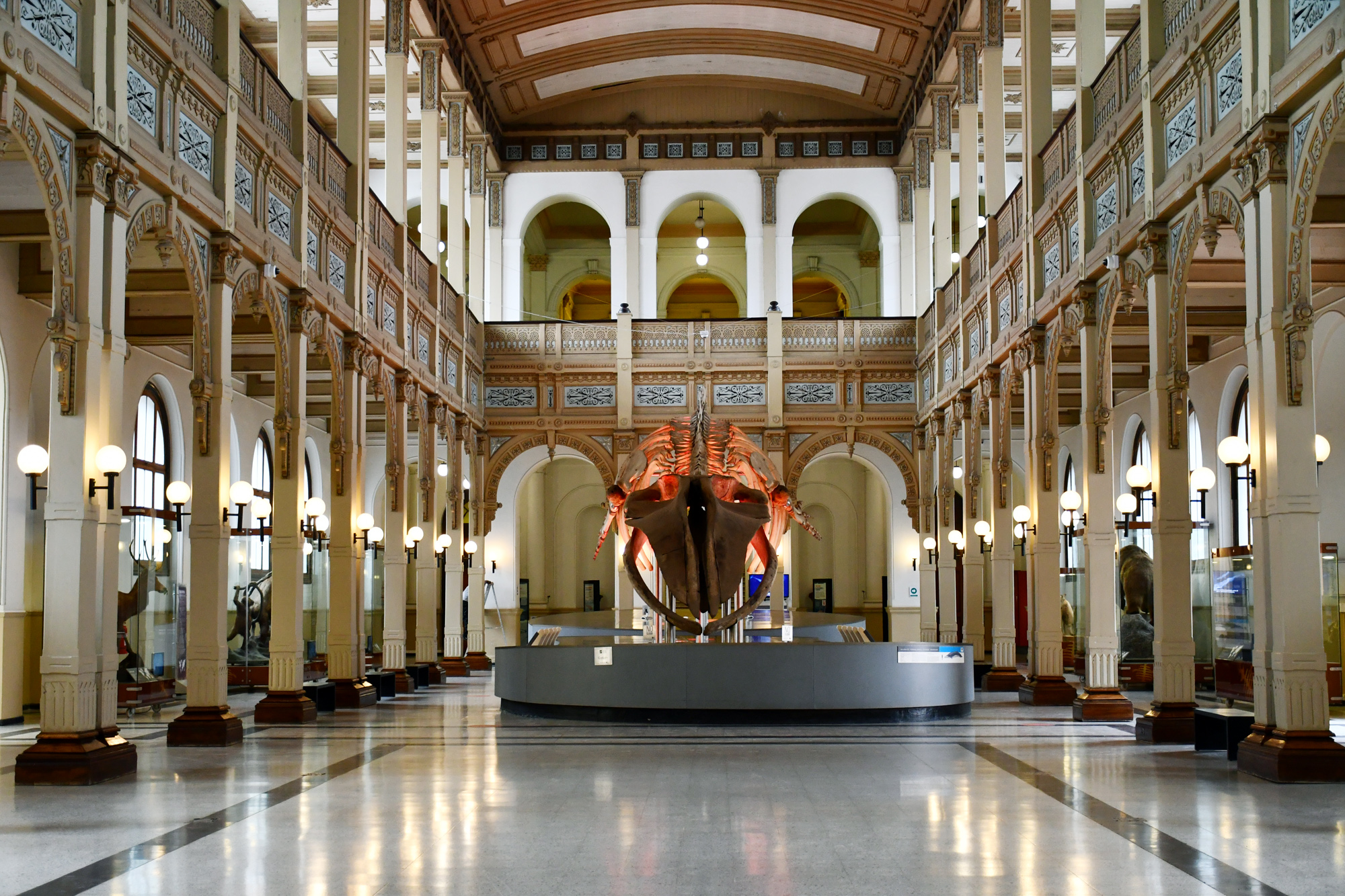 museo-historia